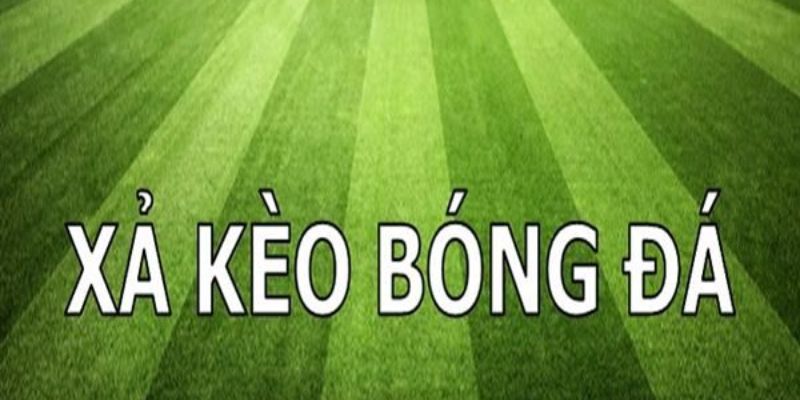 Cách xả kèo bóng đá Tài Xỉu: Bí quyết giảm rủi ro khi chơi 4 Cách sử dụng các công cụ hay nhất