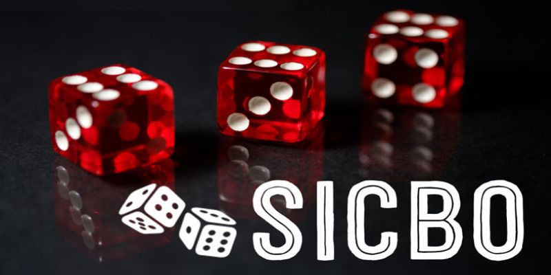 Cược xí ngầu Sicbo Tài Xỉu - Trải nghiệm chơi cực hấp dẫn 4 Cách cược xí ngầu Sicbo chi tiết