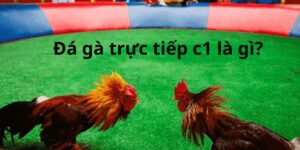 da ga truc tiep c1 1